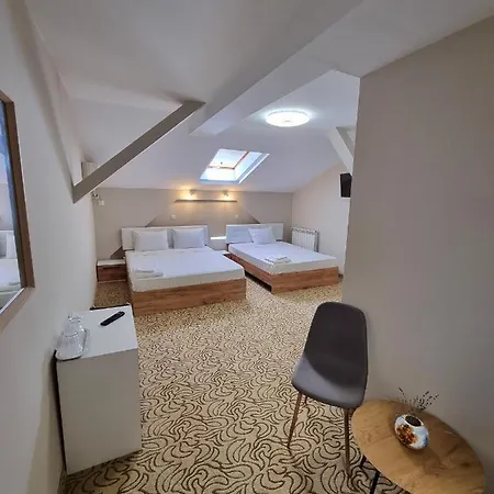 Guest house Vila Central
