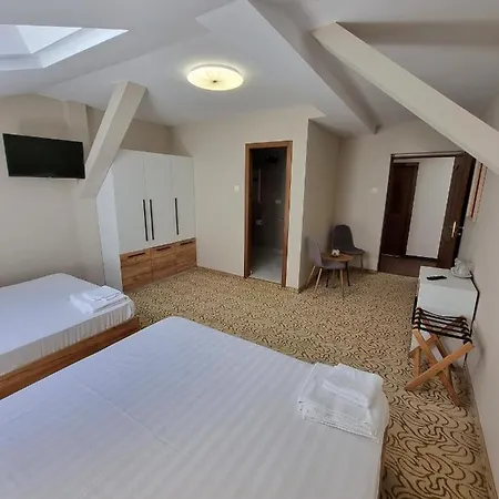Guest house Vila Central