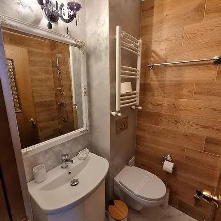 Guest house Vila Central 3*