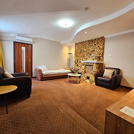 Vila Central Constanta