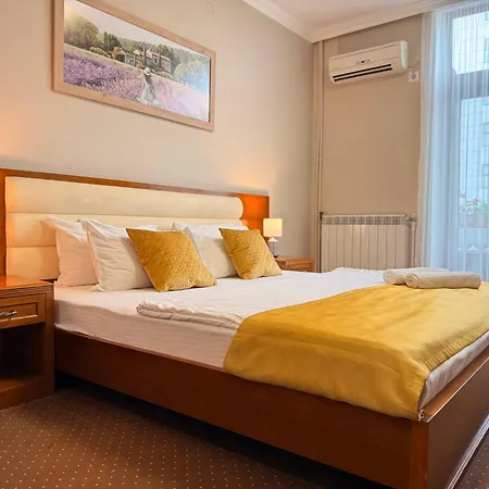 Guest house Vila Central