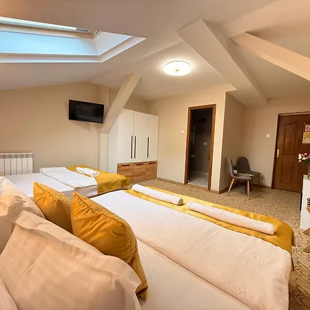 Guest house Vila Central