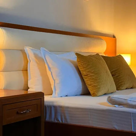 Vila Central Πανσιόν Κονστάντζα