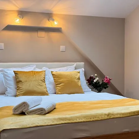 Guest house Vila Central