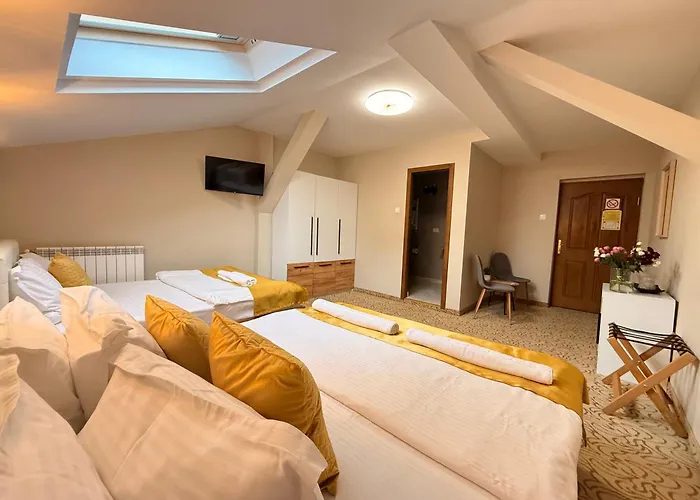 Pensiune Vila Central