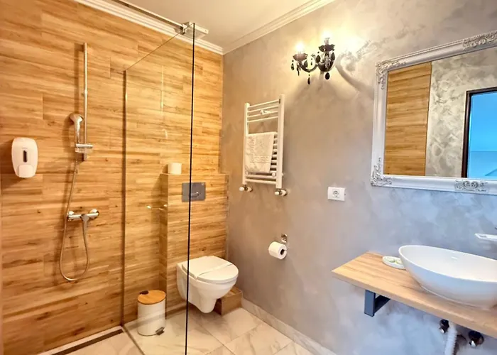 Vila Central Pensiune 3*