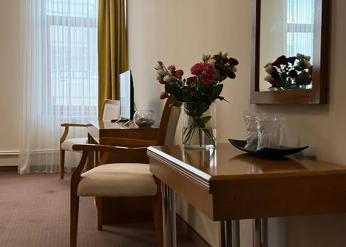 Vila Central Pensiune 3*